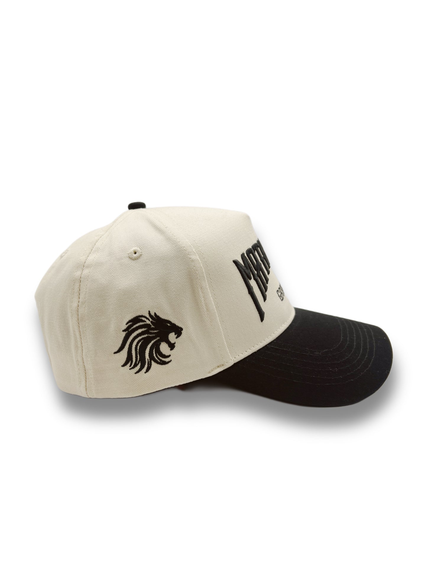 ICON Embroidered Hat