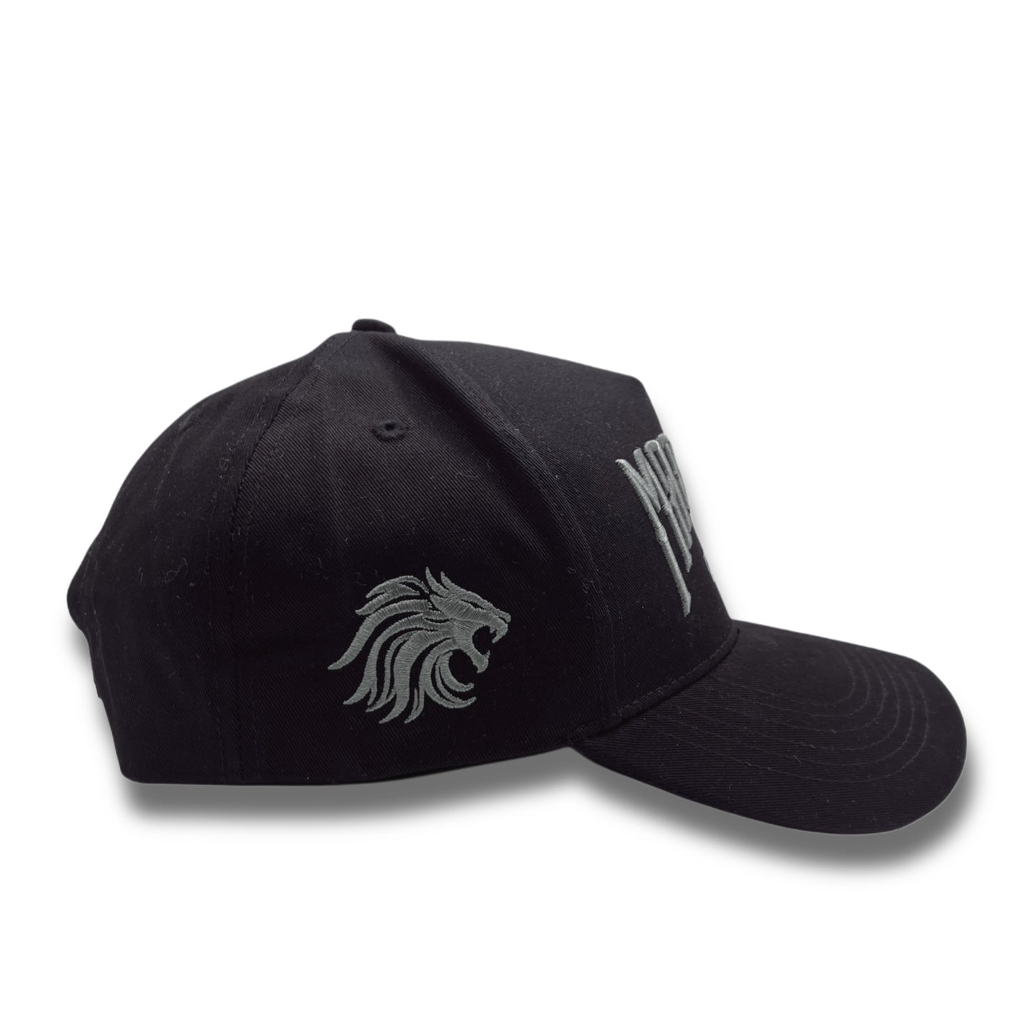 STEALTH embroidered Hat