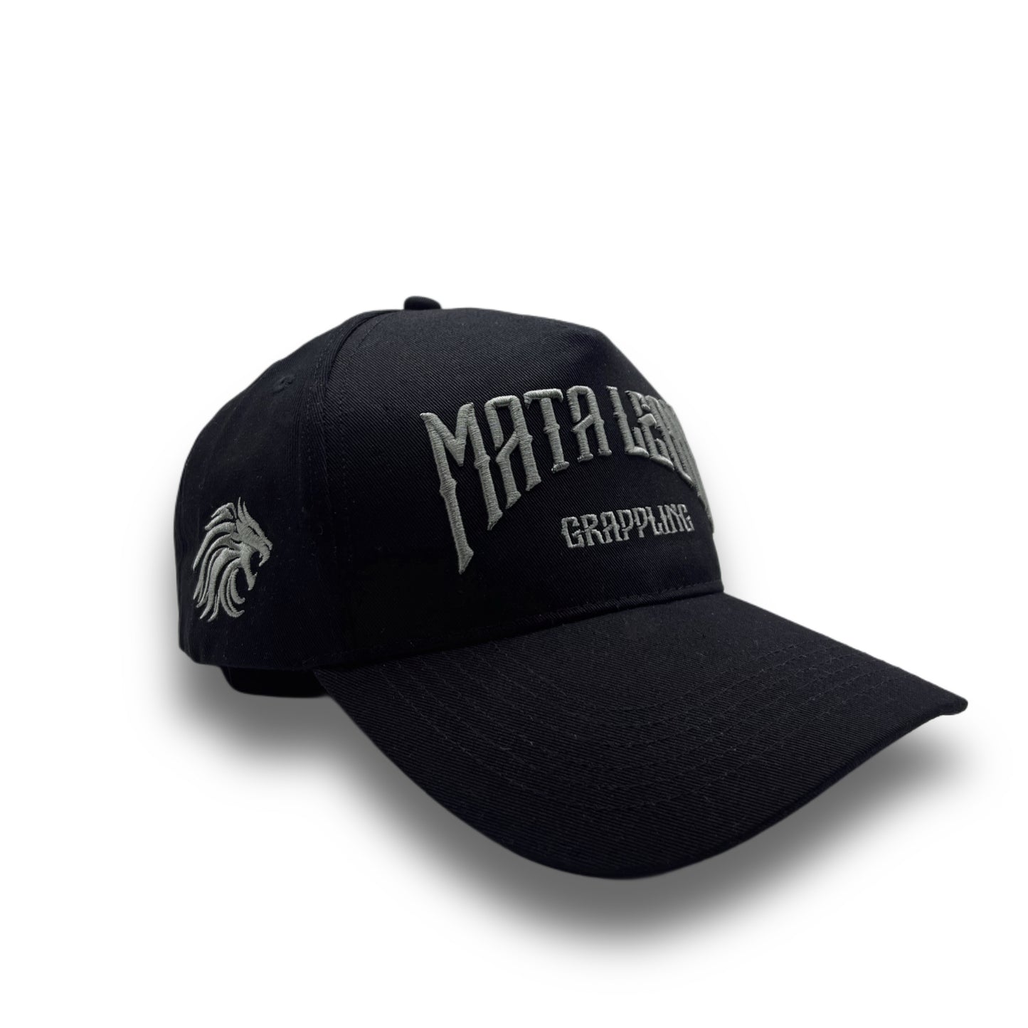 STEALTH embroidered Hat